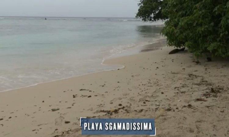 Playa Sgamadissima