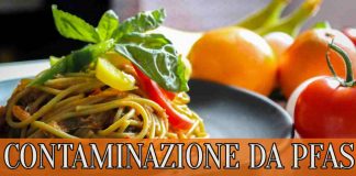 alimenti contaminati da PFAS specialmag.it