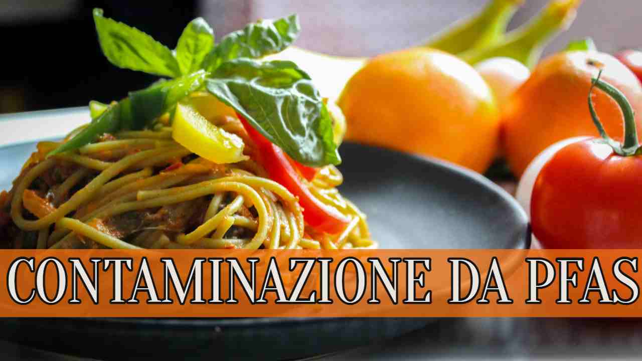 alimenti contaminati da PFAS specialmag.it