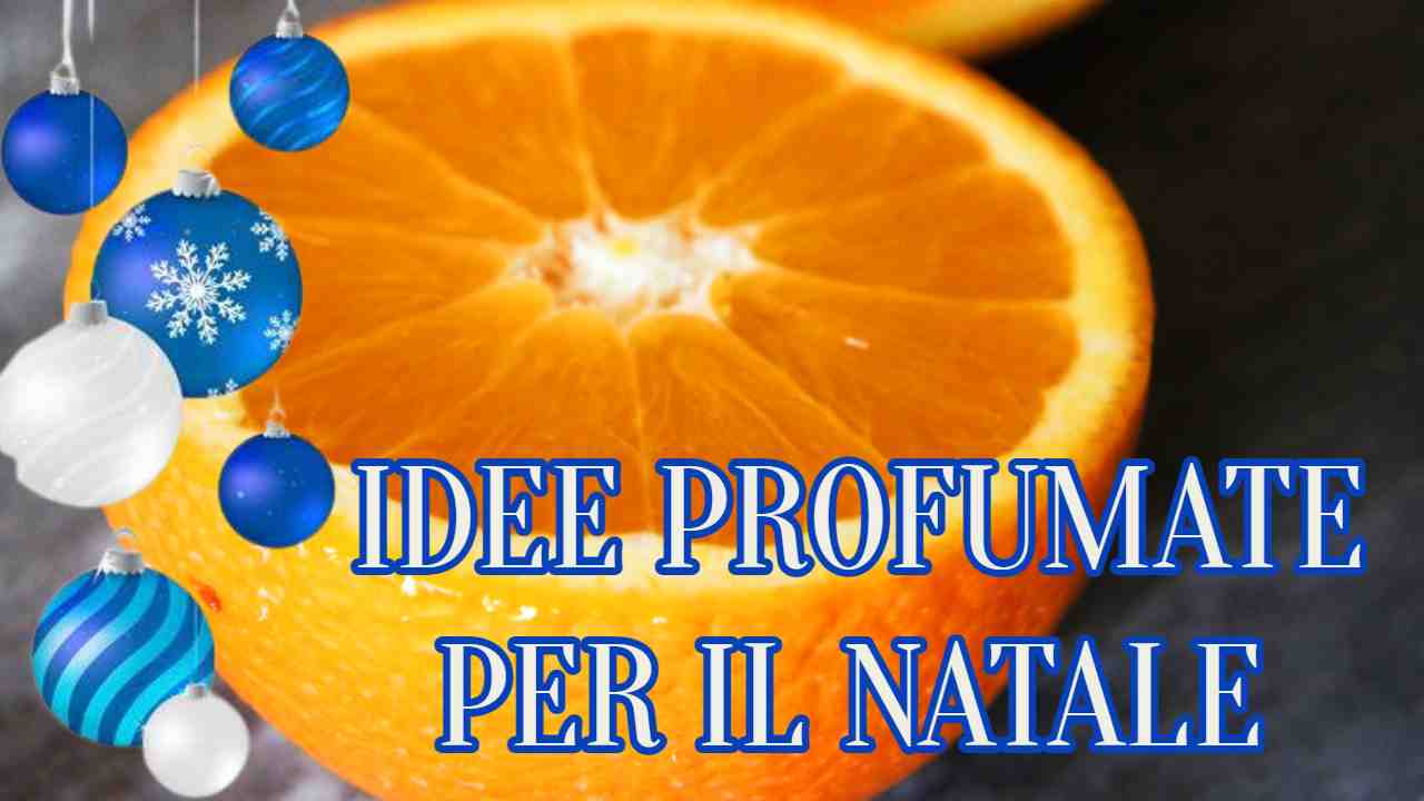 arancia per il Natale specialmag.it