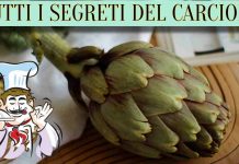 carciofi specialmag.it