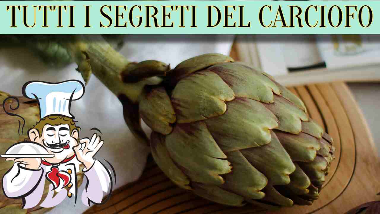 carciofi specialmag.it