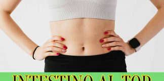 intestino in forma specialmag.it