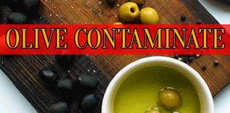 olive in barattolo specialmag.it