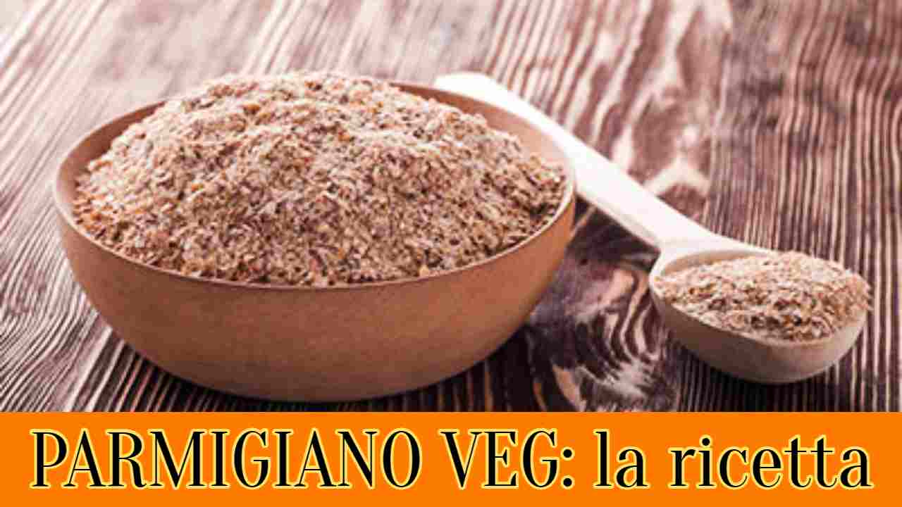 parmigiano veg specialmag.it