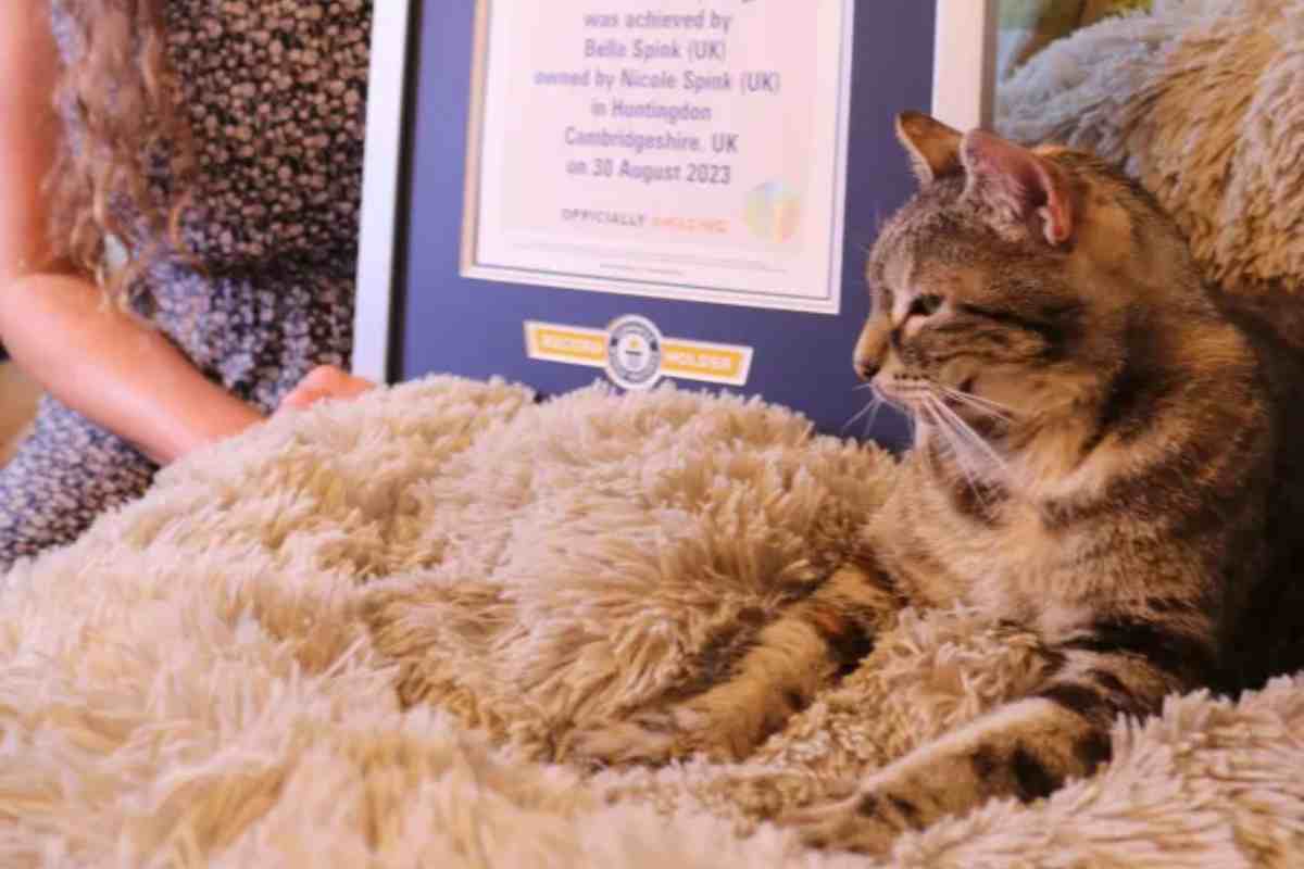 Fusa da record per la gatta Bella