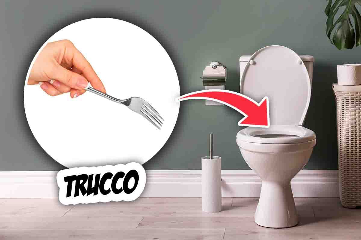 Come pulire il wc con una forchetta
